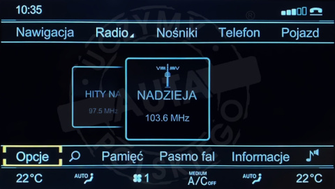 ASTON MARTIN polskie menu, polski lektor, zmiana regionu