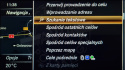 MERCEDES COMAND ONLINE NTG 5.0 polskie menu, polski lektor, zmiana regionu